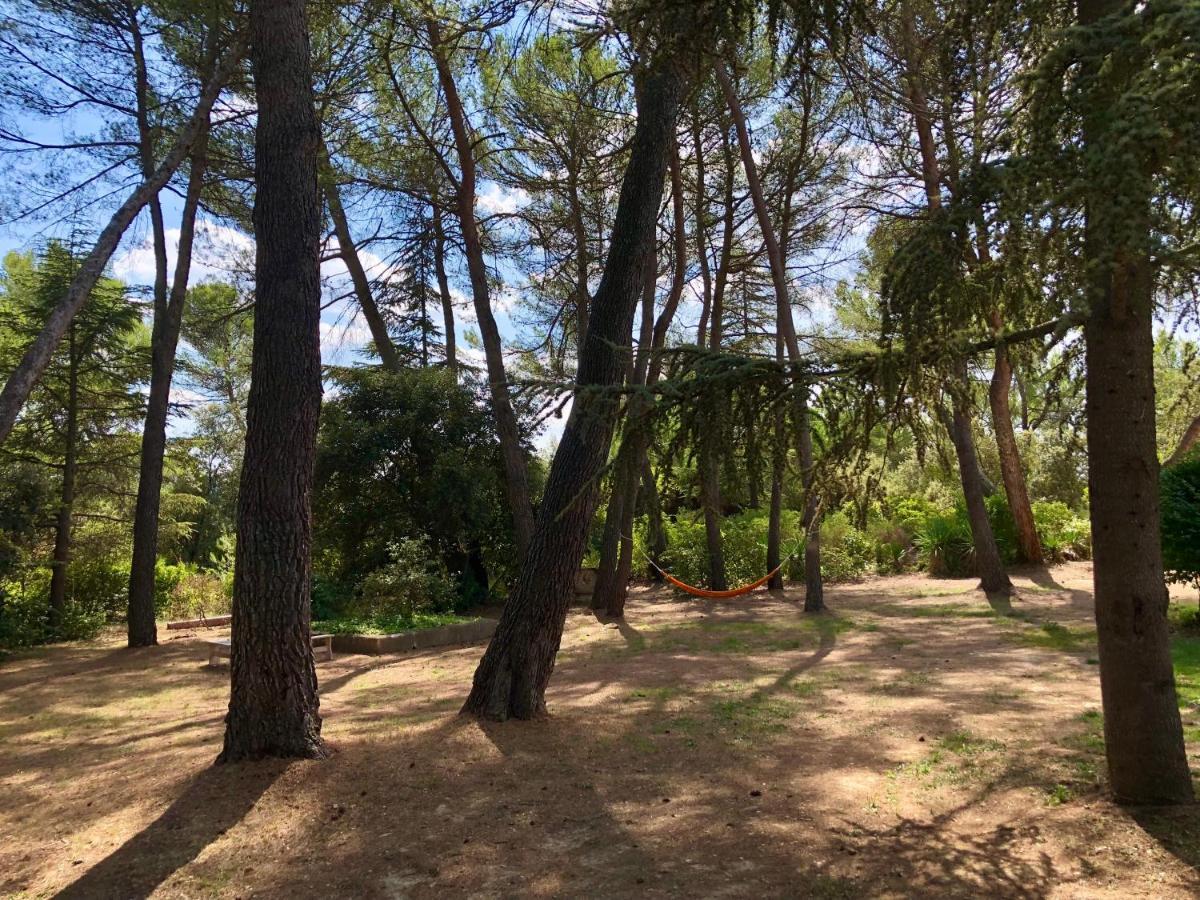 La Bastide-des-Jourdans Chambres Dans Le Luberon - Bois Romay מראה חיצוני תמונה